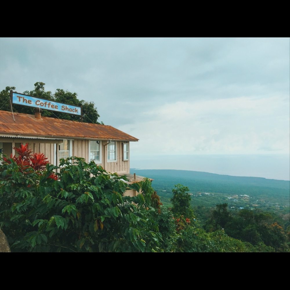 Meet your Posher, Skyelynn